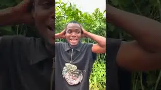 Mission impossible (wait for it) #funny #2025 #movie 