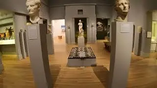 Michael C. Carlos Museum