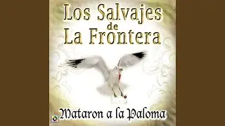 Mataron A La Paloma
