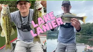 Shaky Head and Jerk Bait Fish on Lanier