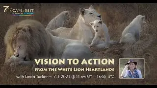 Vision to Action from the White Lions Heartlands with Linda Tucker