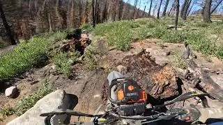 Idaho 16 to 1 1