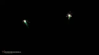 PyroArt - Riesen Libelle