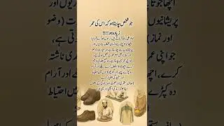 🌙 Imam Ali (R.A) Quotes About Long Life | Wisdom of Hazrat Ali