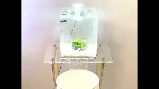 5 Gallon Self-Cleaning Aquarium Shown with Waterfall STAND (Cleaning Method 2) By NoClean Aquariums