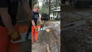 Making firewood out of a tree that blew over in a wind storm #diy #firewood #woodshed #doityourself