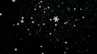 SNOWFLAKE ANIMATION