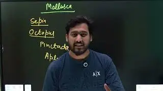Easy Trick to Learn All Examples of  Phylum Mollusca | 11th Biology | NEET | CBSE