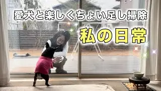 【50代主婦の日常】こんなことして暮らしてます/栄養満点ほうれん草カレー