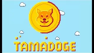 Tamadoge Makes Noise &ndash; Is TAMA A Better Alternative To SOL