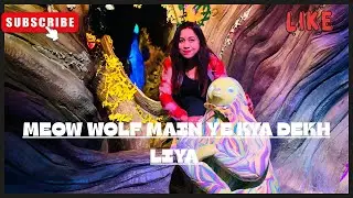 Meow Wolf Convergence Station part 3 :Art, Adventure and Innovation #travelvloghindi  #meowwolf 