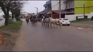 Piquete O Vanguardeiro inicia Jornada C&iacute;vica de 2024 em Cangu&ccedil;u