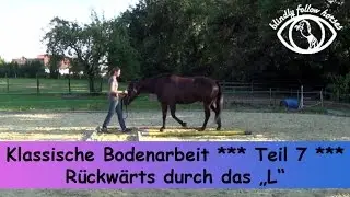 Klassische Bodenarbeit * Teil 7  * Rückwärts durchs 