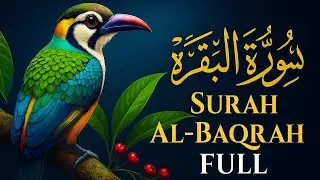 Surah Al Baqarah Full (سورة البقرة كاملة) - Beautiful Quran Recitation by Shaikh Fazle Raheem