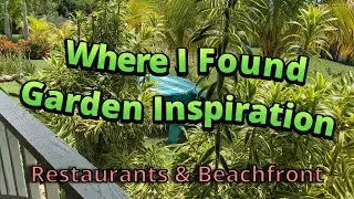 The Garden Hoe Goes Tropical | Oualie Beach, Dew Drops, and Sunshine's - E6