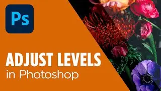 Adjusting levels in a photo using Photoshop - Photoshop for beginners tutorial