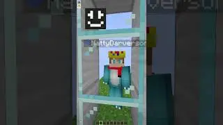 Minecraft Lying Game 3