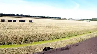 BetaFlight 3.0.0 Testing + Big Cat Sighting