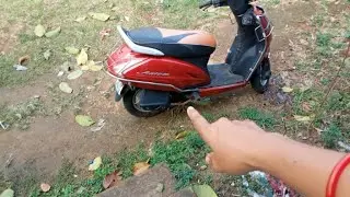 Amader bagan er vlog 🌲🌳 || 
