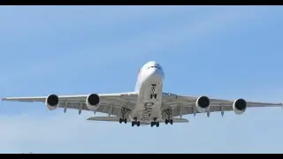 Super Low Planes Landing at Sydney Airport! (A380, 747, 777, 787, A330 And More!)
