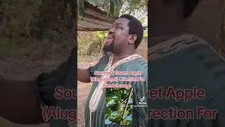 Soursop / Sweet Apple (Aluguntugui) Direction For Breakthrough