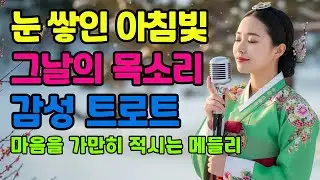 ❄️ 눈 쌓인 아침빛 그날의 목소리ㅣ계속 듣게 되는 감성 트로트 메들리ㅣ애절한 트로트ㅣ최신 트로트 모음
