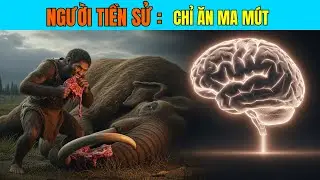 HOMO ERECTUS: Kẻ Ăn Thịt Ma Mút Đứng Đầu Địa Cầu (Bí Mật Tiến Hóa Não Bộ) │Open Lab