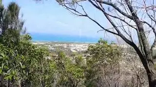 MENDAKI GUNUNG - MT COOLUM NATIONAL PARK