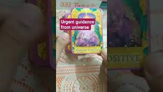 urgent guidance from universe 🙏|| #tarot #tarotreading #urgentguidance #tarotinhindi #universe