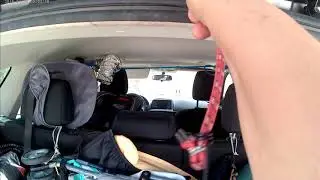 DIY Easy Cheap $5 In-Car Fishing Rod Storage Hack
