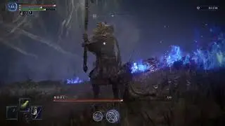 無名の王 鉄の目 [ELDEN RING NIGHTREIGN]
