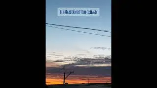 El Guardi&aacute;n de Filo Gringo