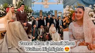 Actor Zarrar Khan & Momil Khan Walima Highlights 😍 | Pakistani Actress | Pakistani Celebrities
