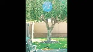 Chandler Backyard Gets Full Glow-Up | Turf, Travertine, & Pool Feature