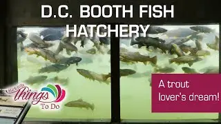 D.C. Booth Fish Hatchery - Spearfish - South Dakota