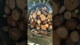 #bbq #fyp #Charcoal #Carbonization #wood #bbqcharcoal #hookcharcoal