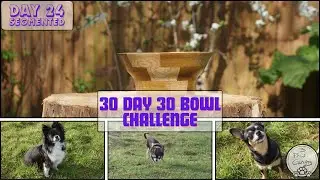 Woodturning 30 Day 30 Bowl Challenge Day 24 Segmented Bowl