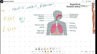 Diagnosis of Death |Skill Lab|