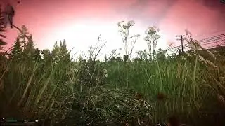 Hol' Up - Escape from Tarkov