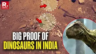 New Jurassic Era Fossils Found In Jaisalmer May Be First Proof Of Dinosaurs In India | Watch