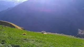 Kafni Glacier trek .
