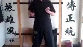 Grandmaster Samuel Kwok Siu Lim Tau form 小念頭