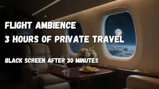 Private Jet Ambience White Noise for Deep Sleep & Flight Anxiety & Meditation