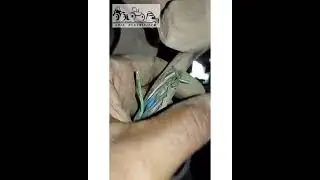 Scania 124 apareceu candiado no painel e não dá partida o q pode ser