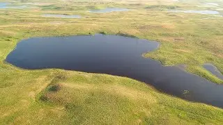 Wildlife Management Areas - NDGNF - 06-30-2022