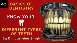 Human Teeth | Basics of Dentistry | Basic Dental Terminology - By Dr. Jasmine Singh I Hindi