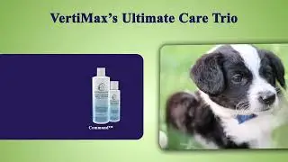 Trio Itch allergy relief package