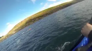a lap of sandycove island, kinsale, ireland