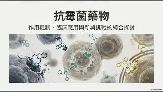 抗霉菌藥物- 兩性黴素B (Amphotericin B)，Azoles，Echinocandins，Mitotic Inhibitors，Antimetabolites