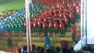 Colégio Progressivo Grito de Guerra Equipe Alvin e os Esquilos